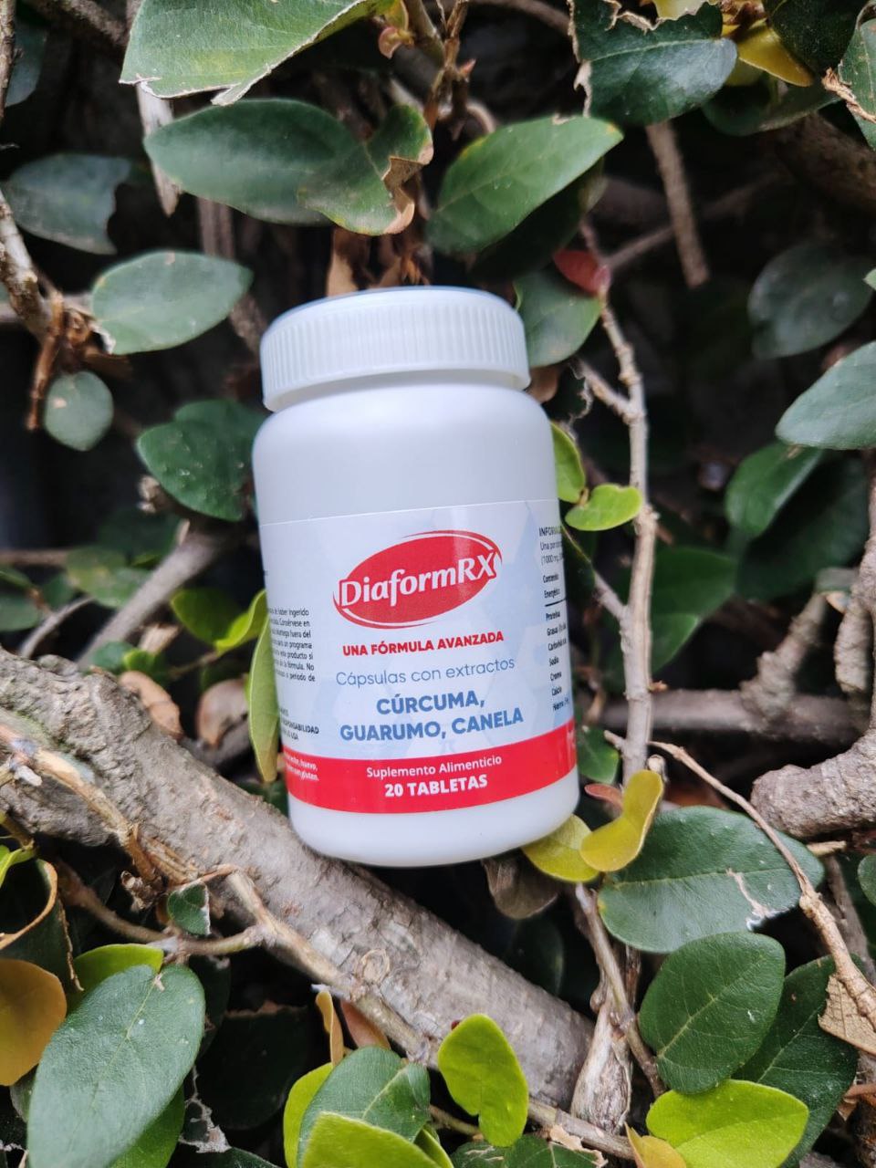 Objednávkový rozvrh Zandessaro