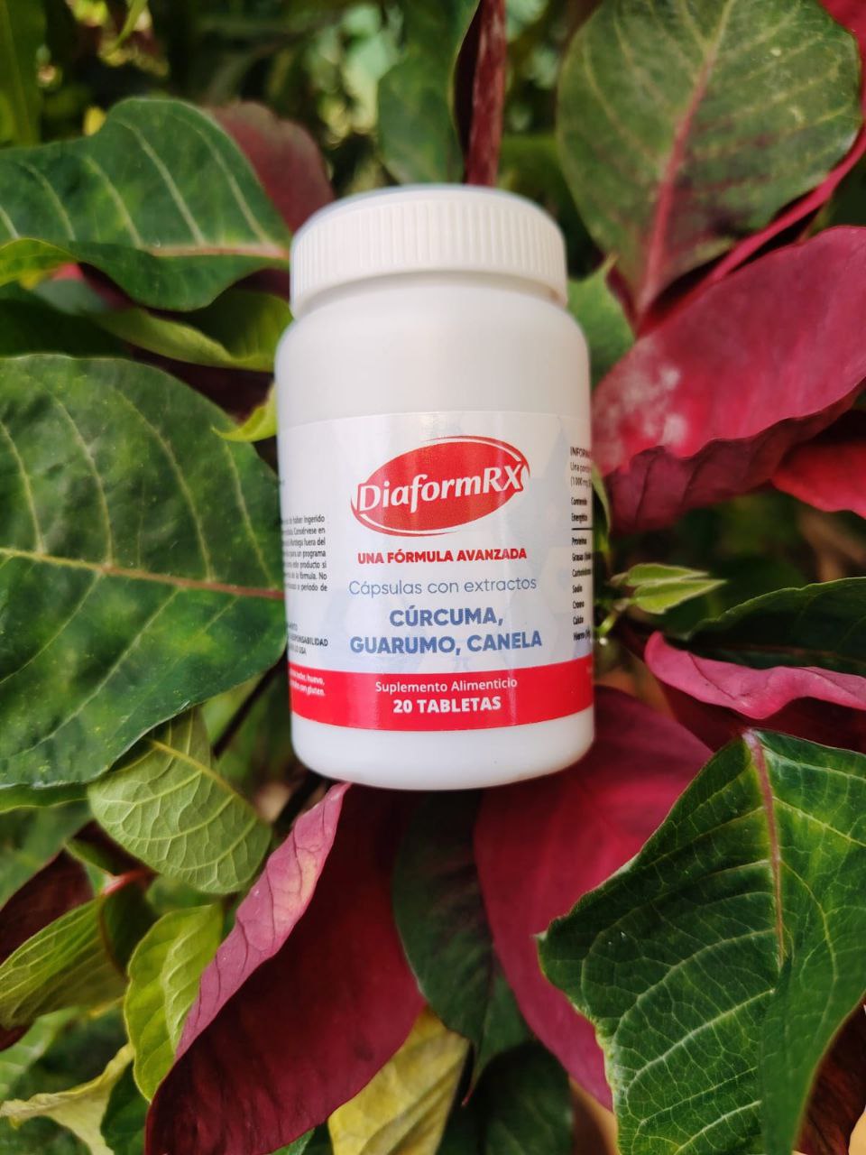 Inovácia Zandessaro